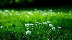 Karol D | pexels.com